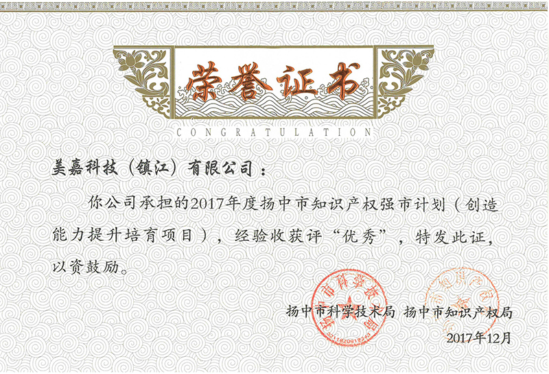 扬中市知识产权强市计划荣誉证书
