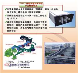 GMV1 series-CS